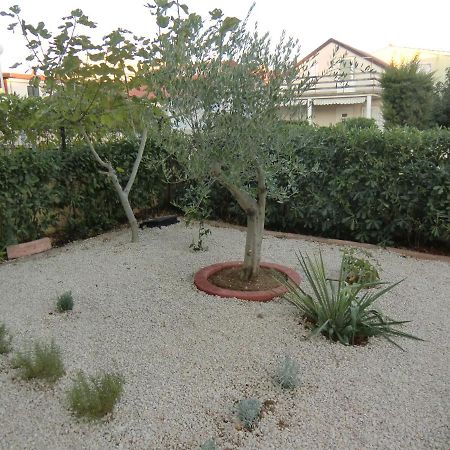 Ferien Haus Evita Auf Insel Vir - Wohnung I Dış mekan fotoğraf